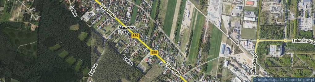 Zdjęcie satelitarne Śliwkowa ul.